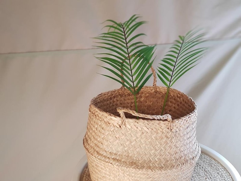 엘리시안 강촌 캠핑파크 시설 사진 21