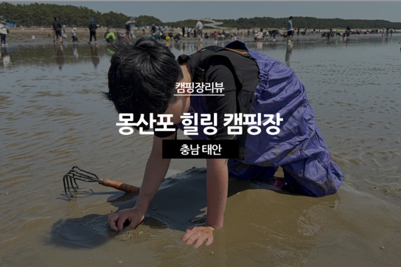 충남 태안 몽산포 힐링 캠핑장 갯벌 체험형 캠핑으로 딱!