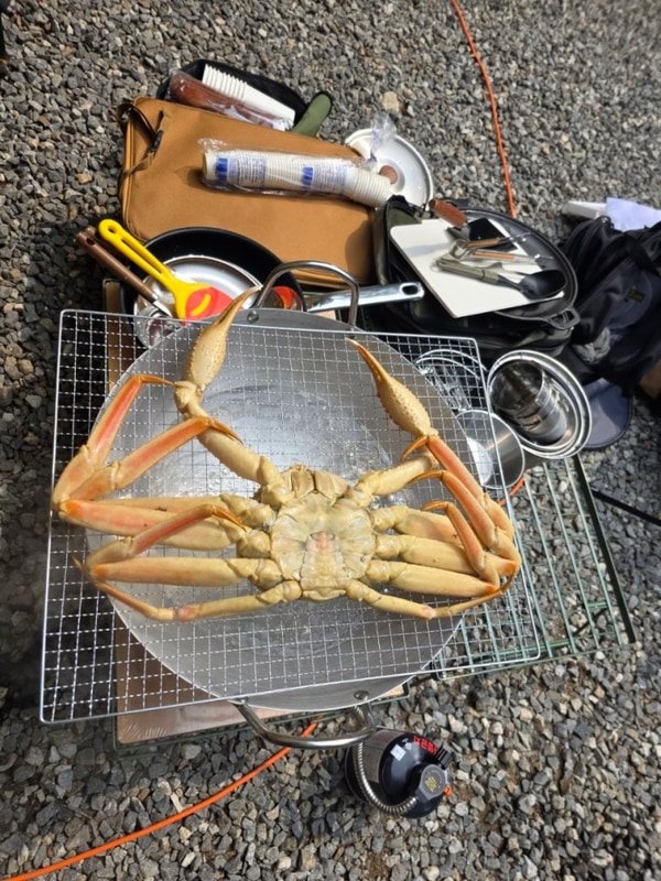 부여 내안의 숲 오토캠핑장 기록지(5.31~6.01)