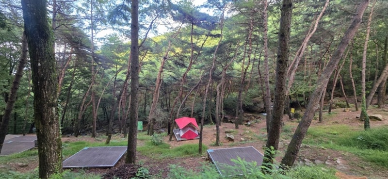 상주, 성주봉자연휴양림 야영장 그리고 한방사우나