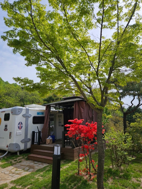 [천안 숙소] 카페, 글램핑, 카라반 [오시유]
