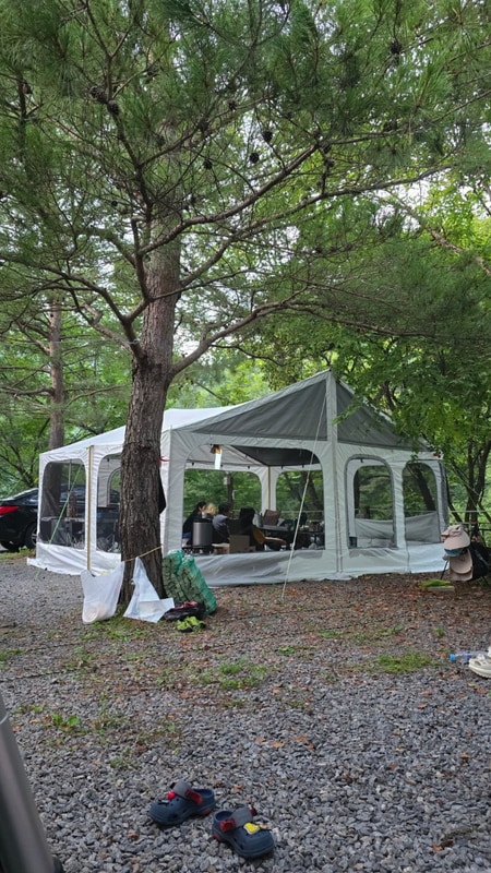 7Th 영월 물마루캠핑장 여름휴가...