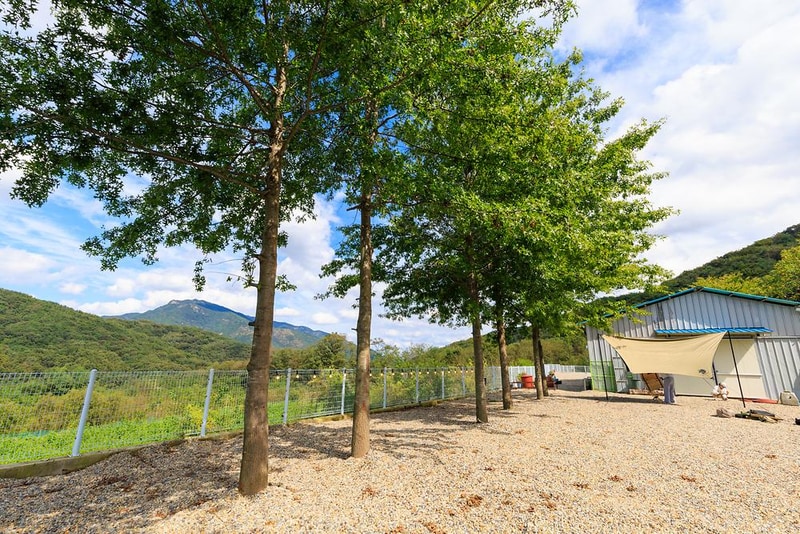 월명612 시설 사진 4