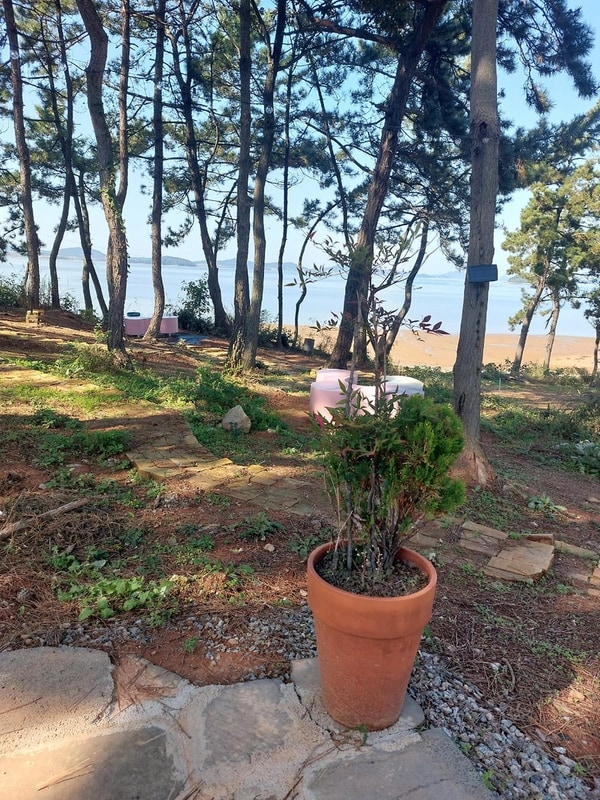 곡식정원(관광농원) 시설 사진 15