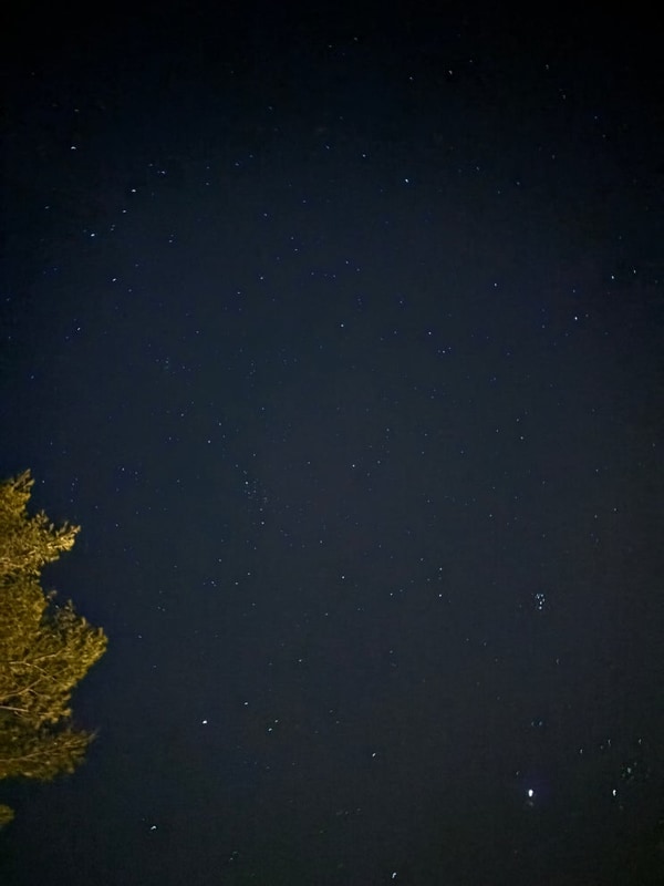 250101 새해 첫날 강원도 영월 캠프우든브릿지 캠핑장 방문...