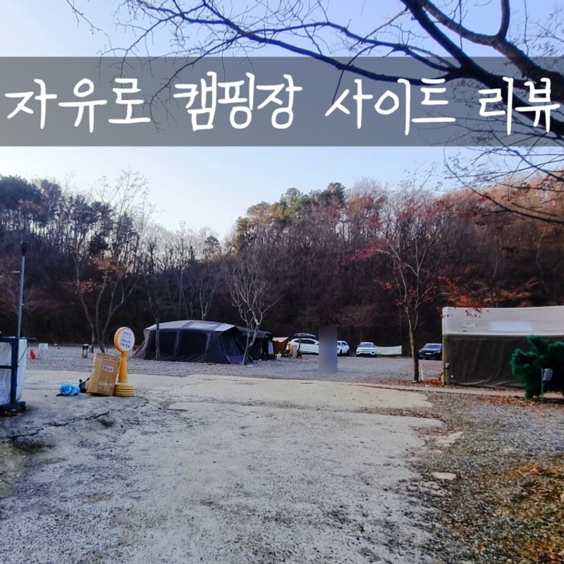 파주 자유로 캠핑장 사이트 리뷰