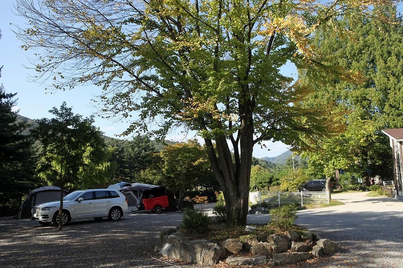 남양주 휴림캠핑장 시설 사진 15