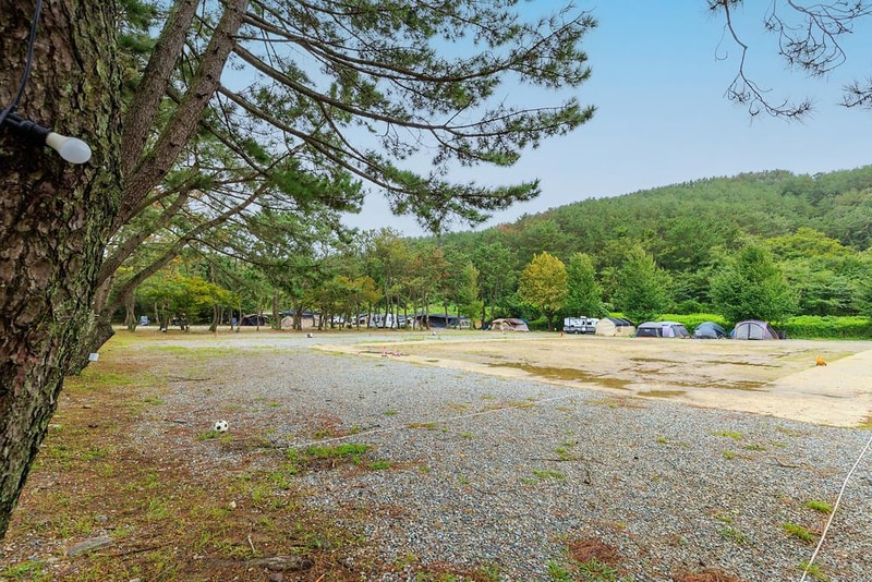 펜캠2495체험학교 시설 사진 8