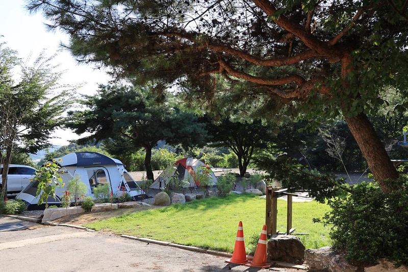 돌산캠핑장 시설 사진 11