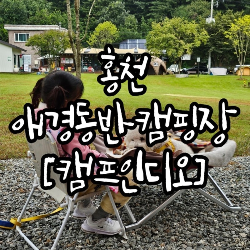 홍천 애견동반캠핑장 [캠프인디오]