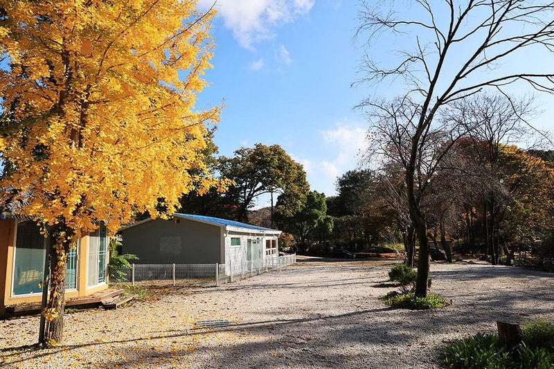 딥포레스트캠핑장 시설 사진 3