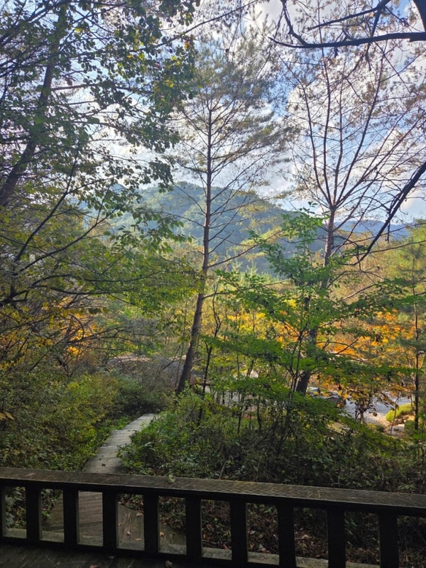 [영월] 영월캠프 숲속4번