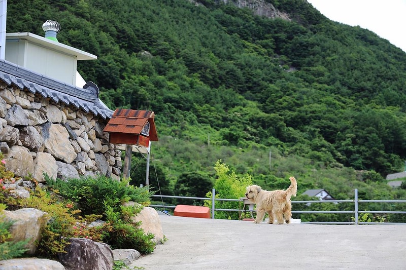 얼음골 캠핑장 시설 사진 6