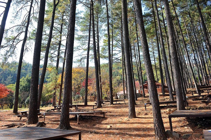 백운산 자연휴양림 자동차야영장 시설 사진 2