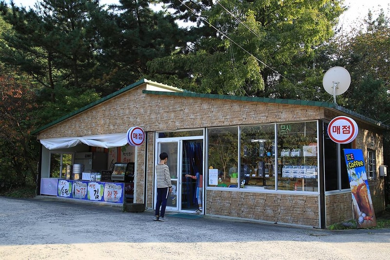 희리산해송자연휴양림 자동차야영장 시설 사진 1