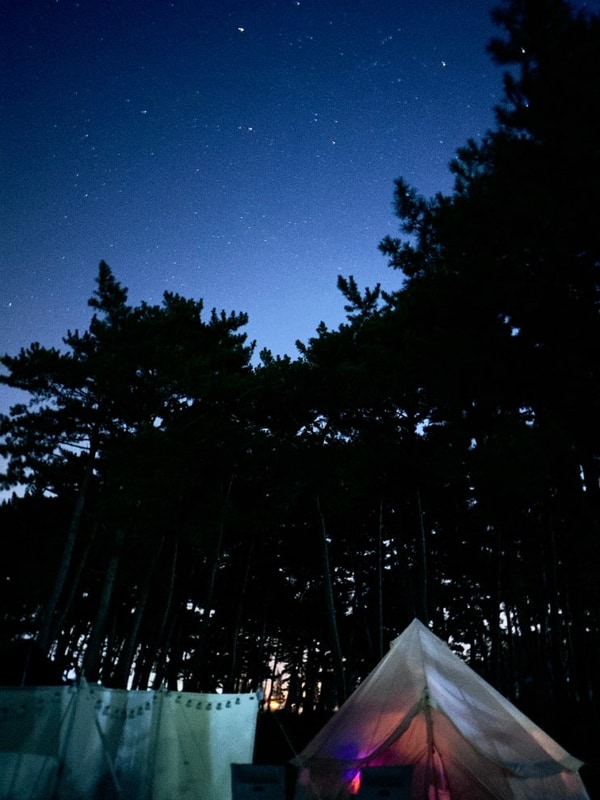 소나무숲과 석양이 멋진 서천장항 오토캠핑장