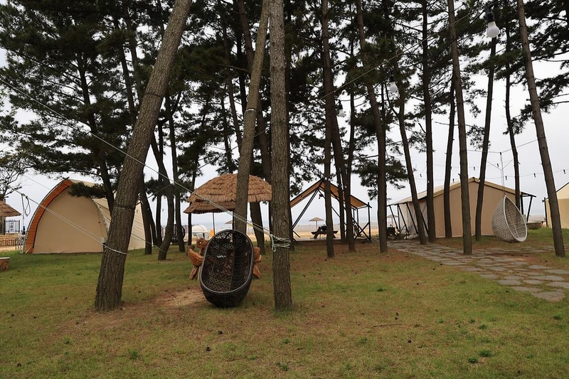 청포대솔밭야영장 시설 사진 1