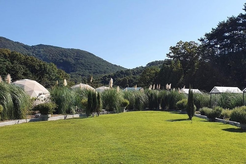 더힐링식물원 야영장 시설 사진 19