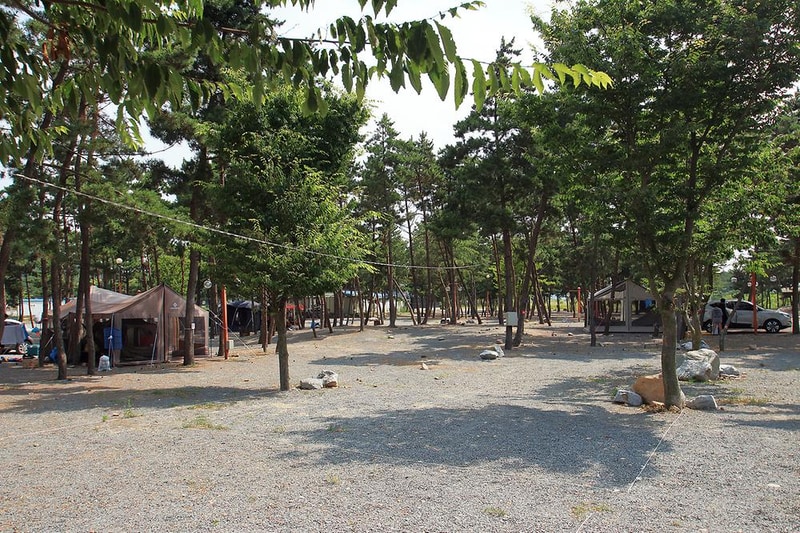 어은돌송림캠핑장 시설 사진 5