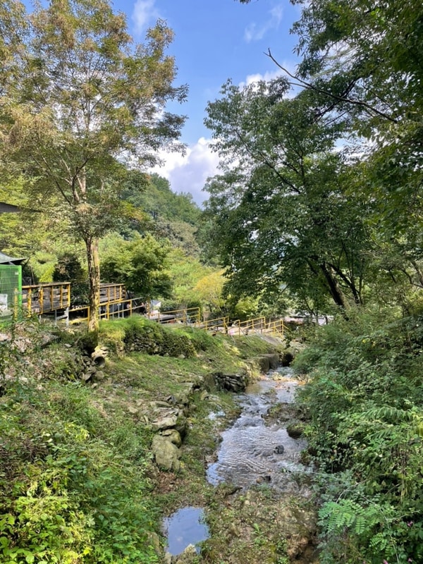 #54. 충주 하너미 캠핑장 데크6