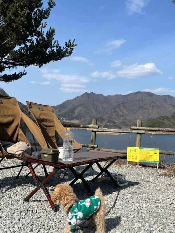 충주 캠핑808 I존 두팀 호수뷰 경치 1박 애견동반 후기