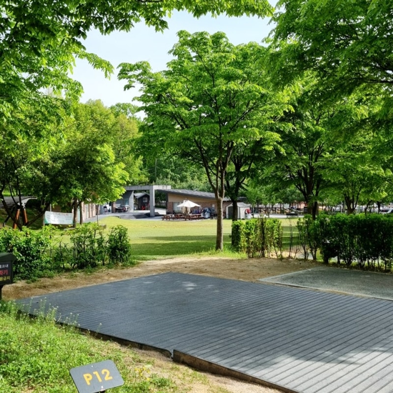 서울 노원 초안산 캠핑장 : 오토캠핑장 P10 후기