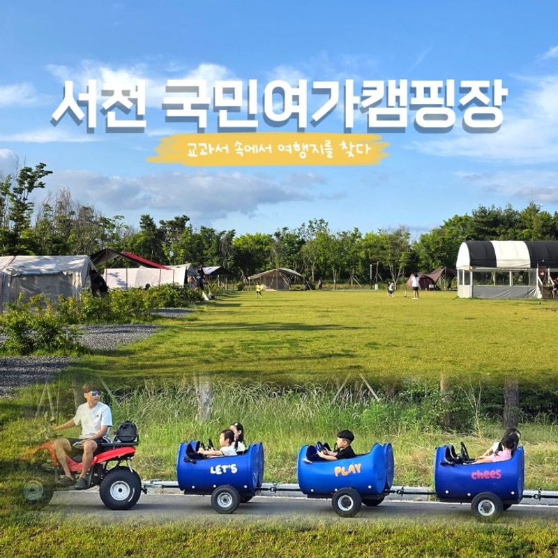 충남 여행지 서천국민여가캠핑장 깡통열차 여름방학 아이와...