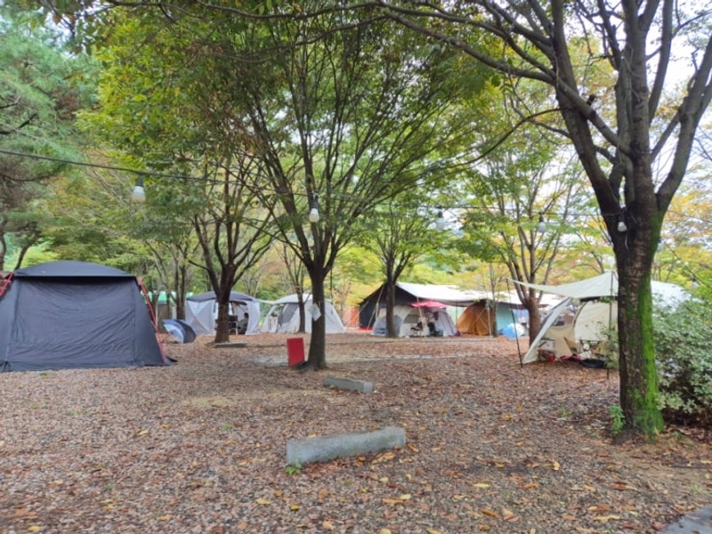 상주 펀펀오토캠핑장 후기