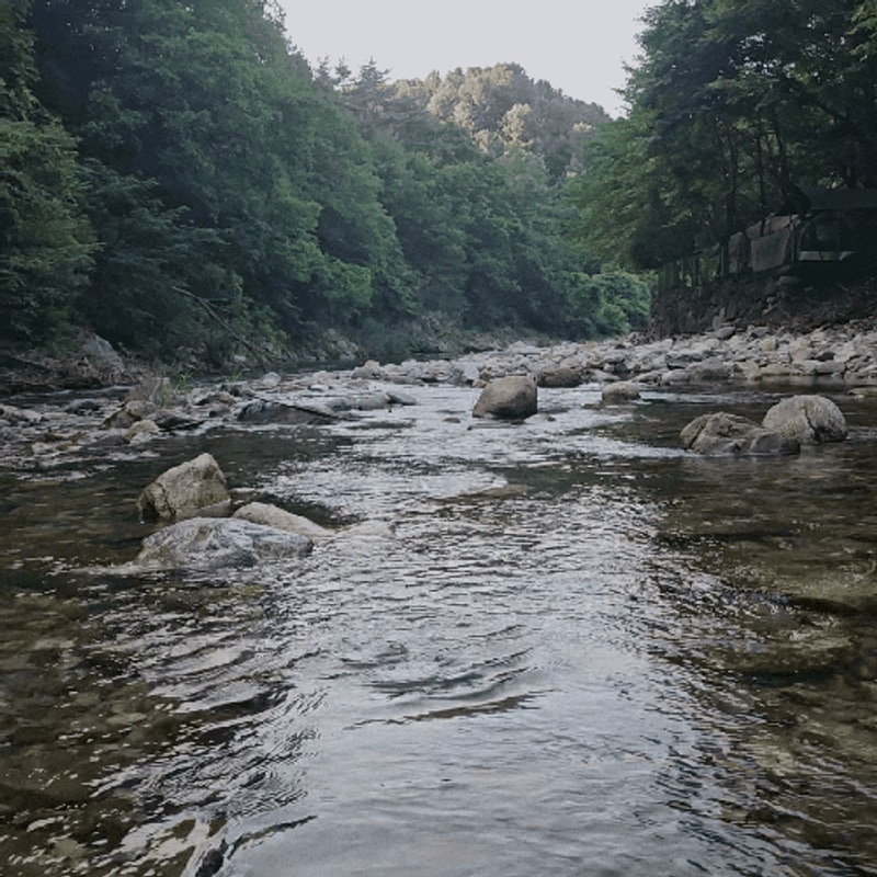 가평 수영장 계곡 있는 맑은물소리캠핑장