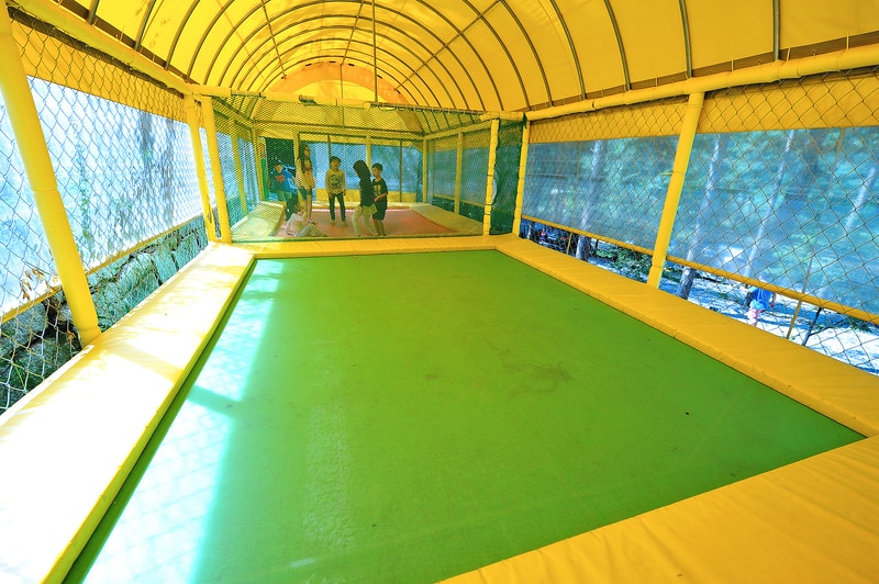 나무새 관광농원 시설 사진 15