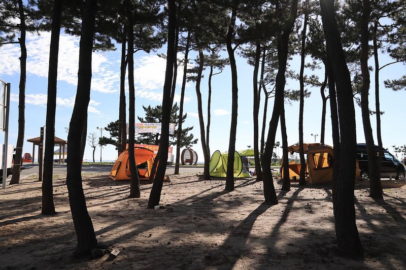 낙산해수욕장 야영장 시설 사진 7