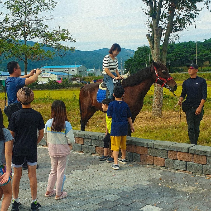 낙화담캠핑장 시설 사진 30