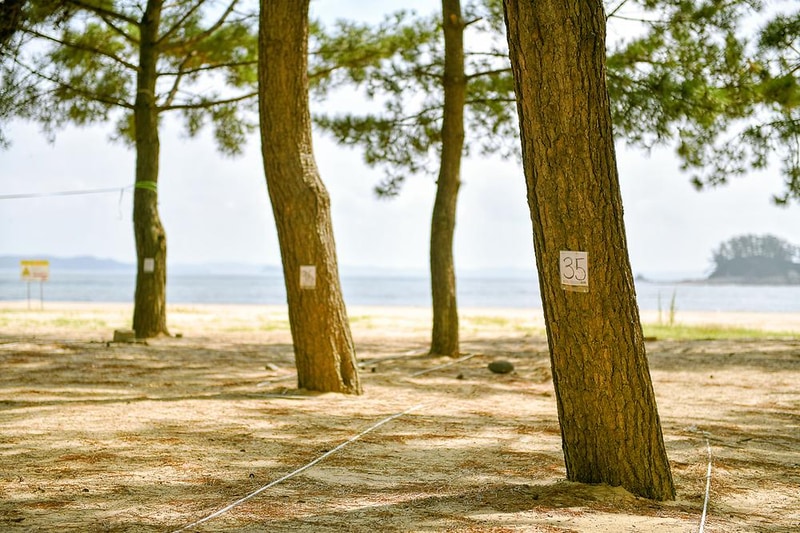 연포제1야영장 시설 사진 6