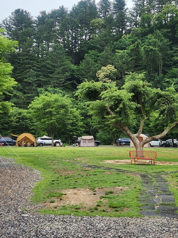 [캠핑] 가평 캠프올모  아이들 데리고 오기 좋은 곳 계곡캠핑