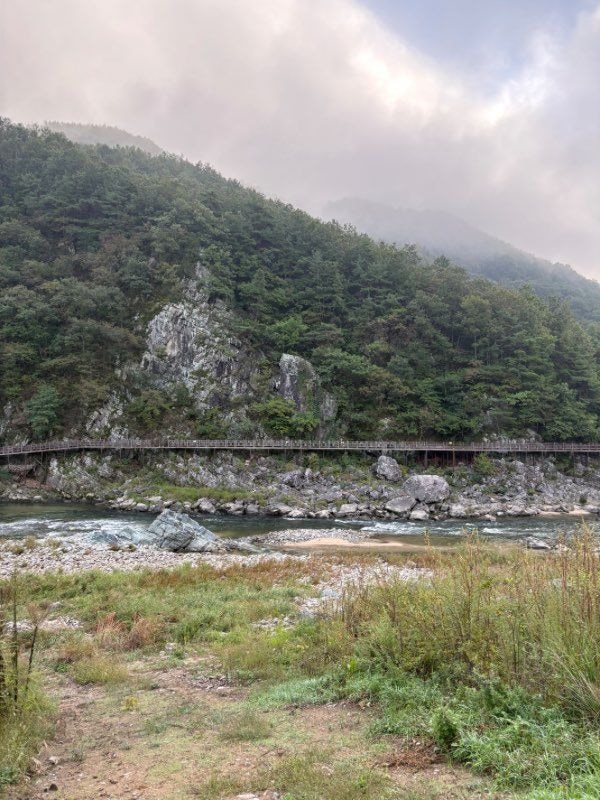 강 옆 둘레길 따라 도착한 조용한 별빛뜰애 봉화캠핑장 후기