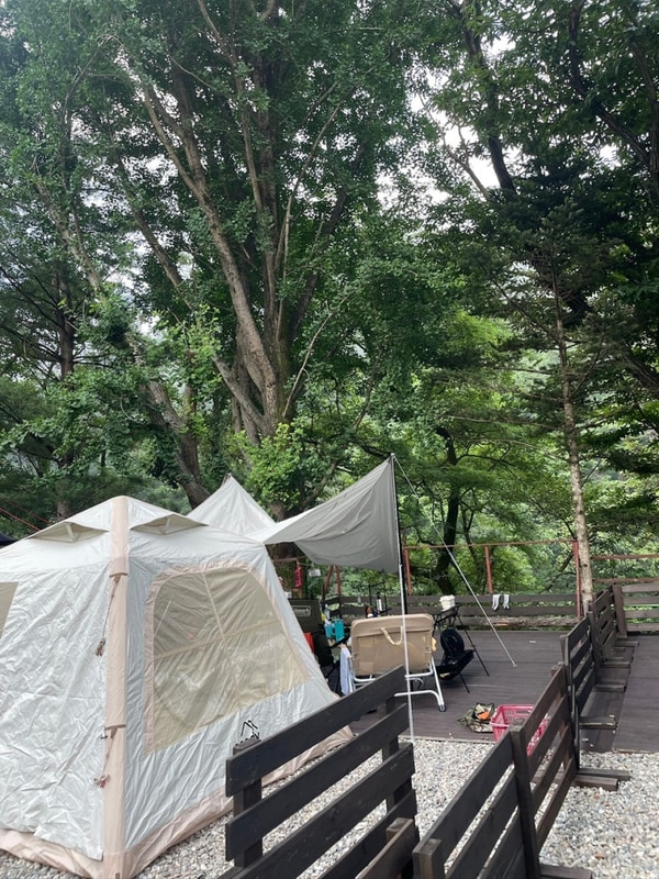 반려견동반캠핑 / 인제 미산분교캠핑장 9번데크 / 솔캠 /쿠디...