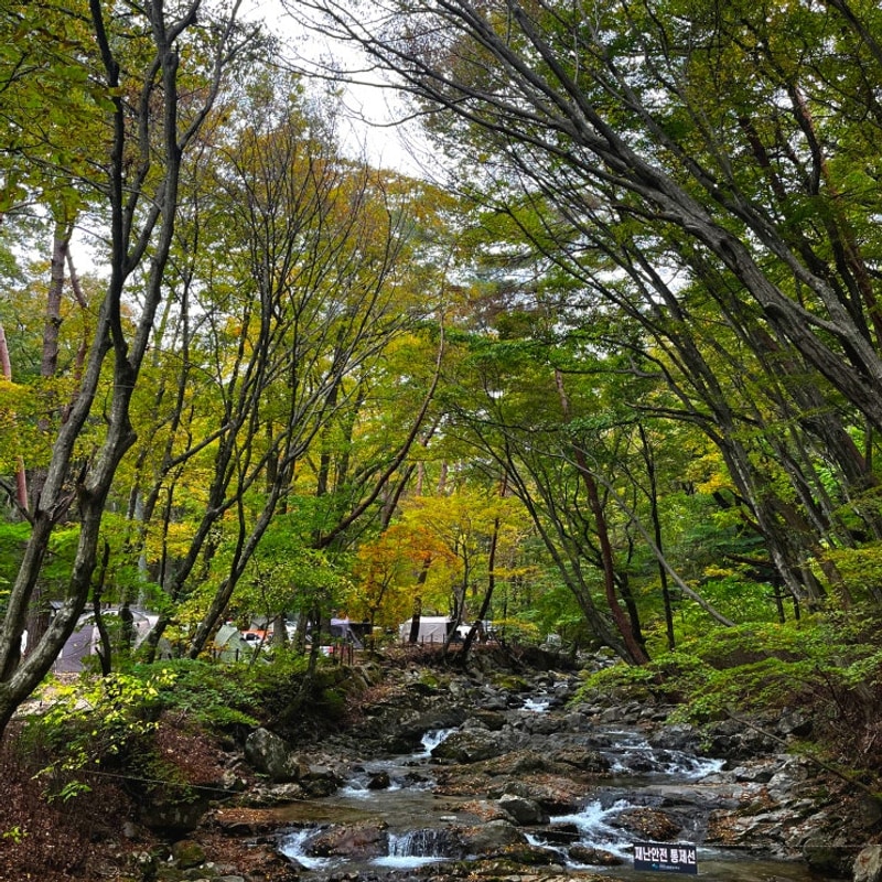 [경남 합천] 가야산 삼정야영장 단풍 캠핑 명당 추천!(9번...