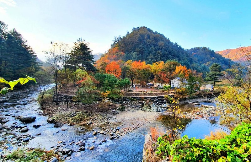 279캠핑장 시설 사진 10