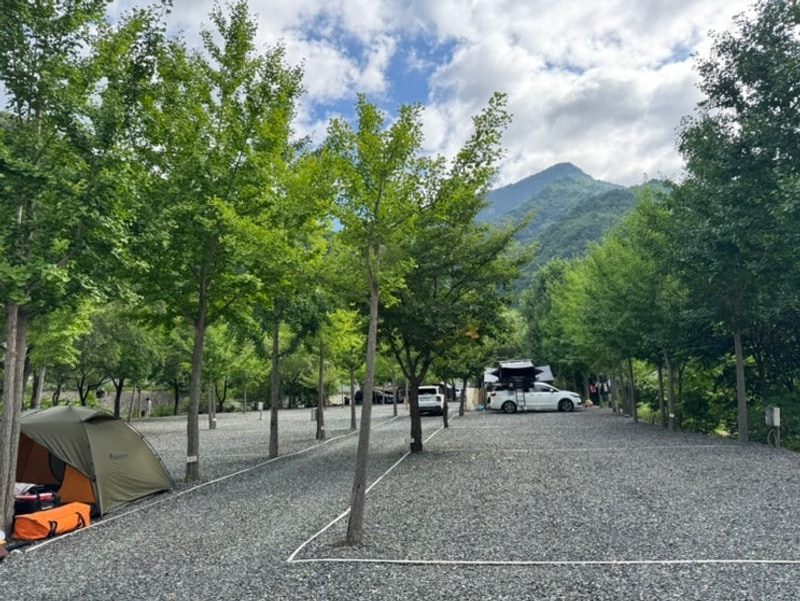 강원도 영월 산솔오토캠핑장 5살 아이랑 2박 3일 25.8.15~17
