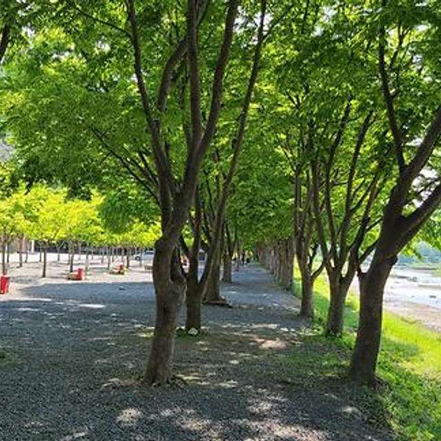 써니밸리오토캠핑장