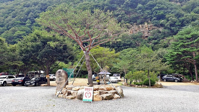 솔밭캠프 시설 사진 7