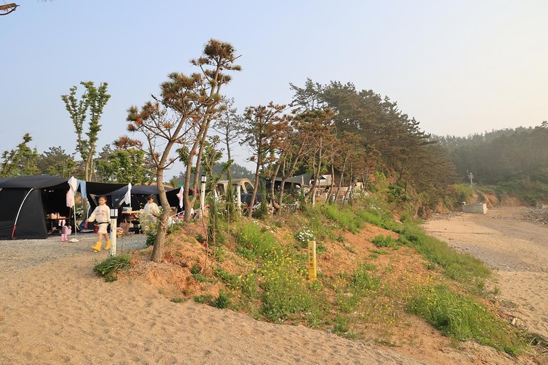 파도와노을캠핑장 시설 사진 15