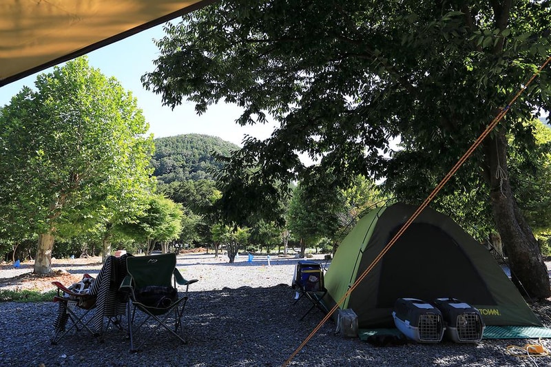 패밀리오토캠핑장(한국전통문화체험학교) 시설 사진 7