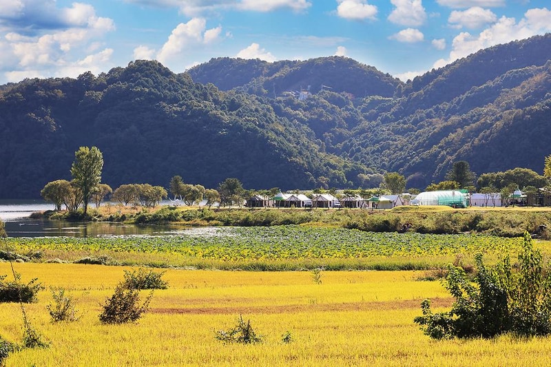 리버위드 글램핑 시설 사진 20