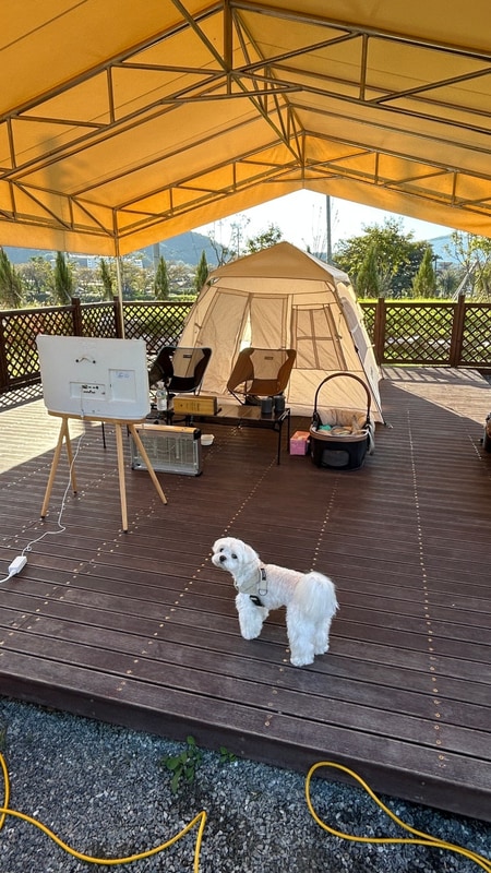 [애견 캠핑] 애견을 위한 캠핑장,임실 오수의견 국민여가 캠핑장...