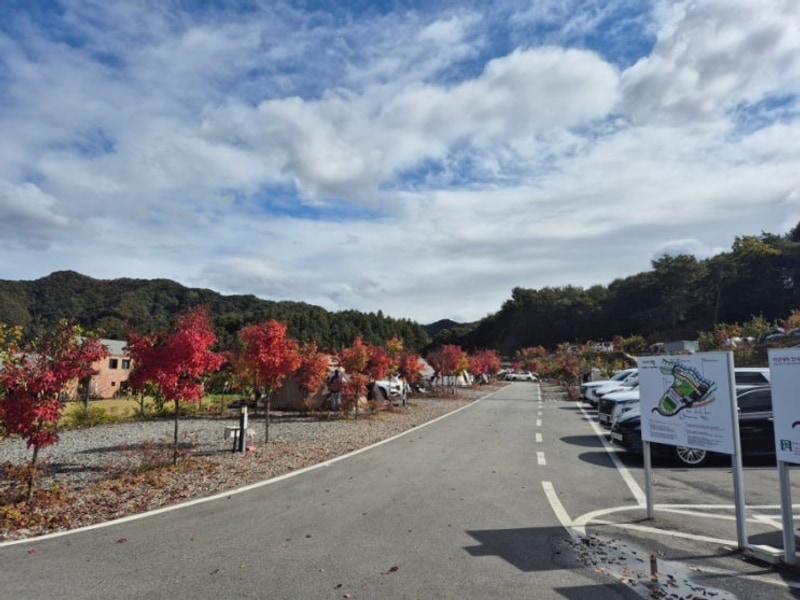 [캠핑일지#27]  홍천 세이지힐오토캠핑장 D50,51번...