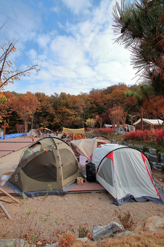 초막골생태공원 느티나무야영장 시설 사진 2