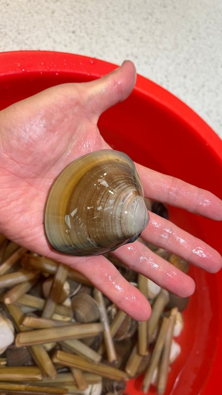 태안 몽산포 오토캠핑장 자동차 야영장 데크 자리는?