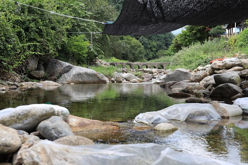 소백산 꽃가람야영장 시설 사진 10