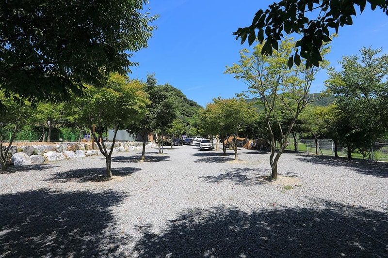 월악 한울 오토캠핑장 시설 사진 17